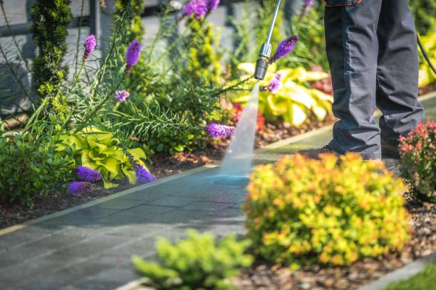 Best Driveway Cleaning and Restoration in Edmonton, KY